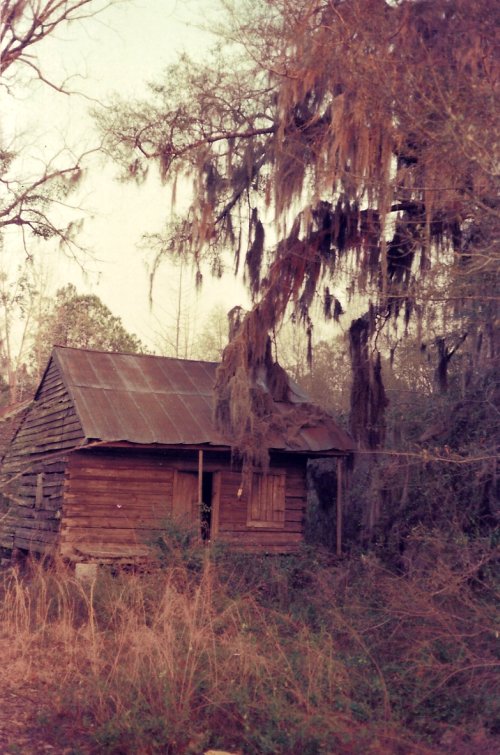 Their old
              houses stood empty