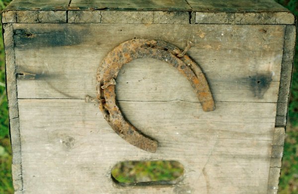 horse shoe