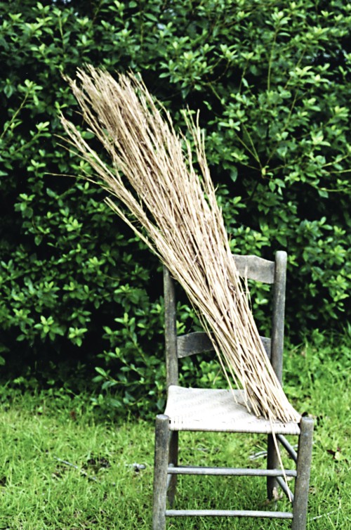 Broom
              straw