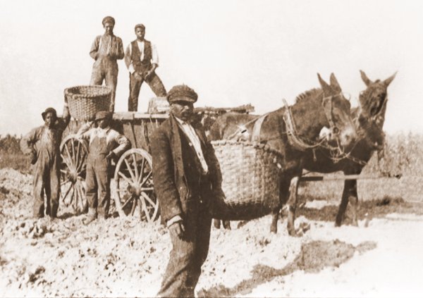 Using Gregg's baskets in the 1930s