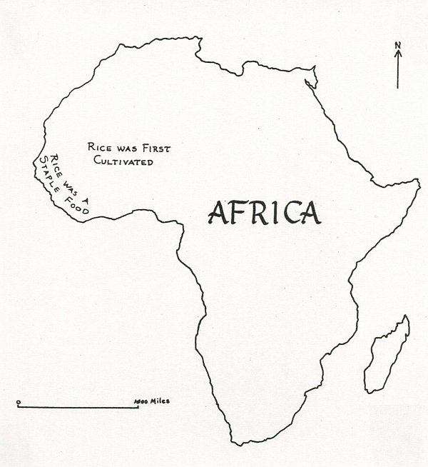 Map of Africa showing rice cultivation