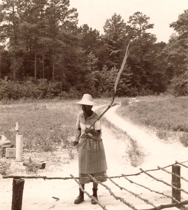 Frances Johnson demonstrating rice flailing