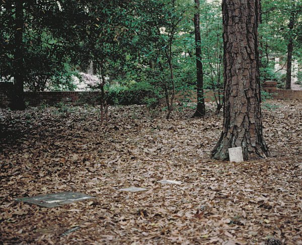 African
              American Cemetery