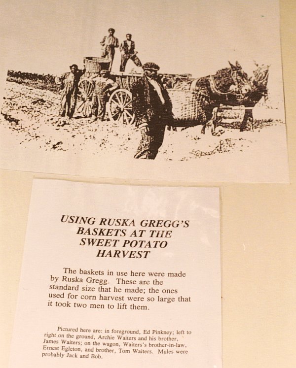 Poster showing sweet potatoes being
              harvested