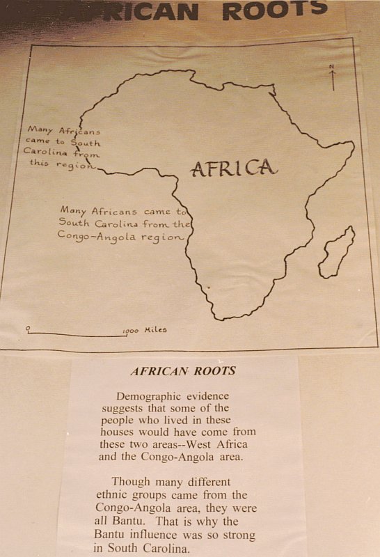 African roots