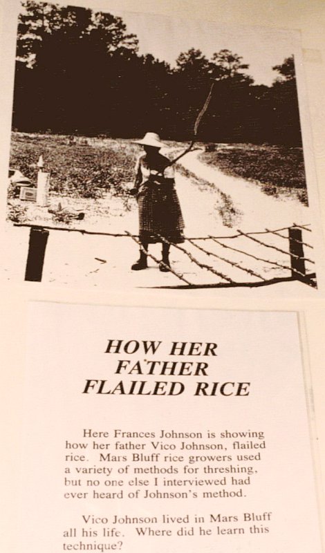 How rice was flailed