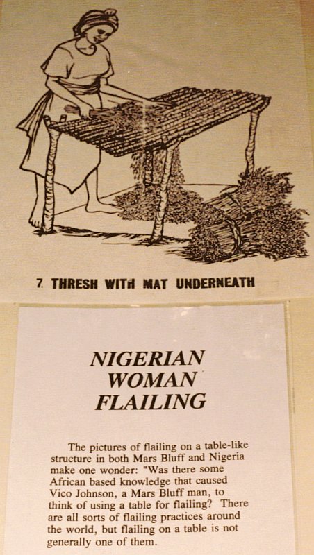 Nigerian Woman Flailing Rice